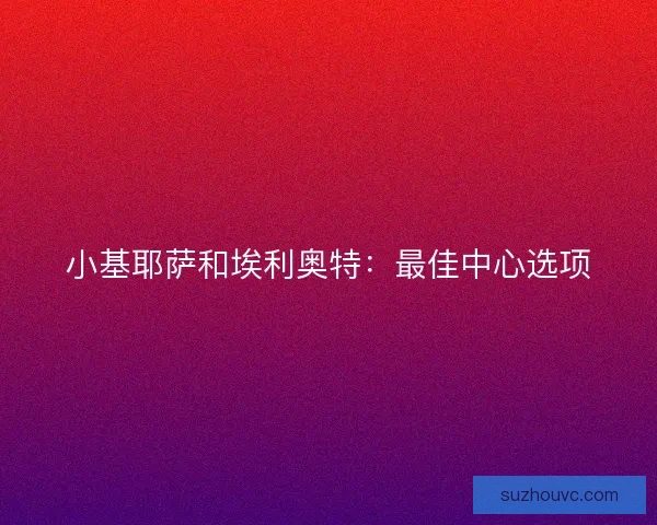 小基耶萨和埃利奥特：最佳中心选项